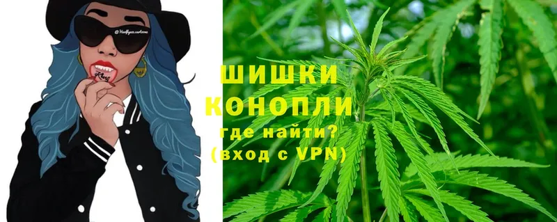 МАРИХУАНА SATIVA & INDICA  блэк спрут как войти  Новосокольники  купить  цена 